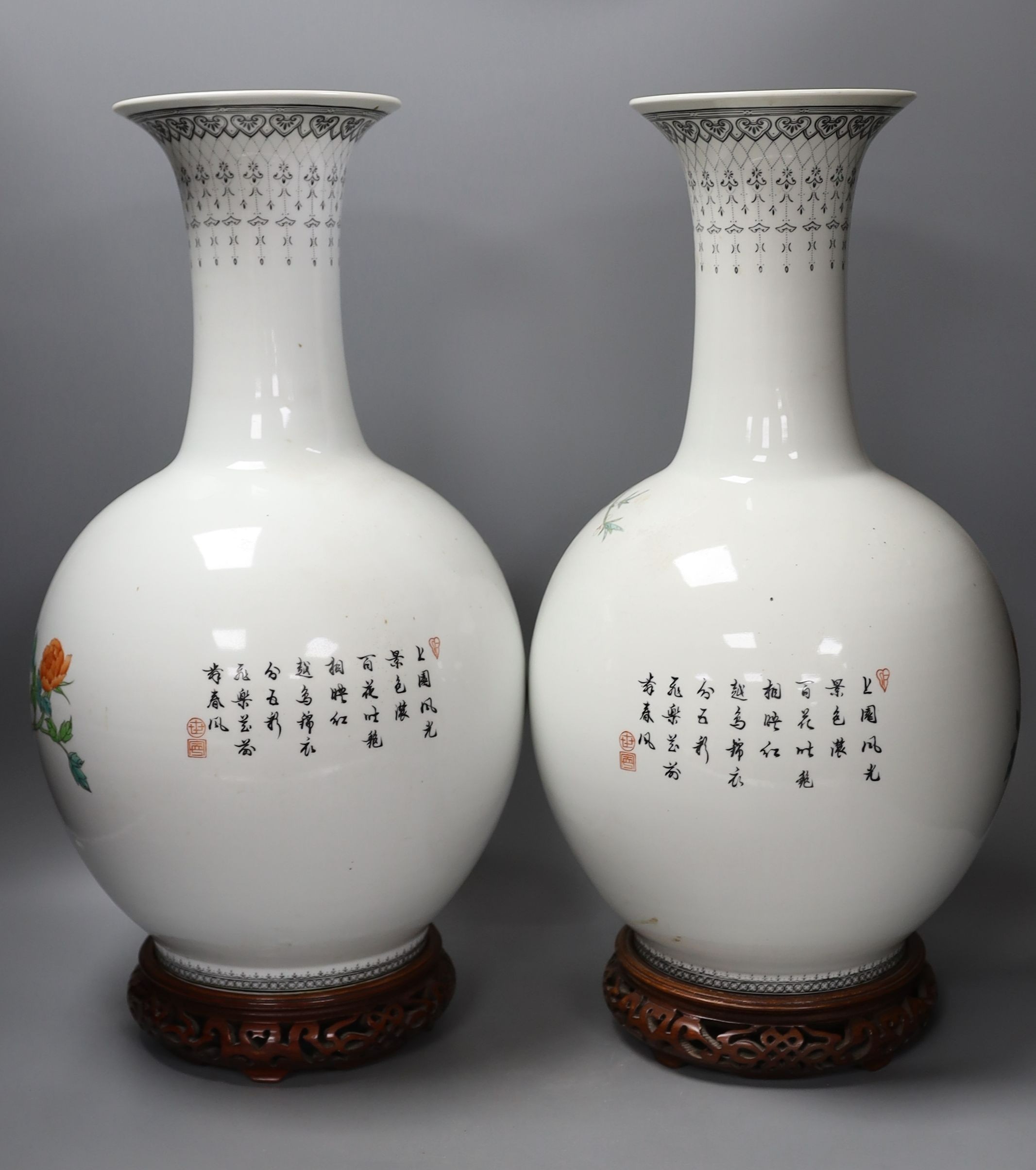 A pair of large Chinese famille rose peacock inscribed vases - 50cm tall